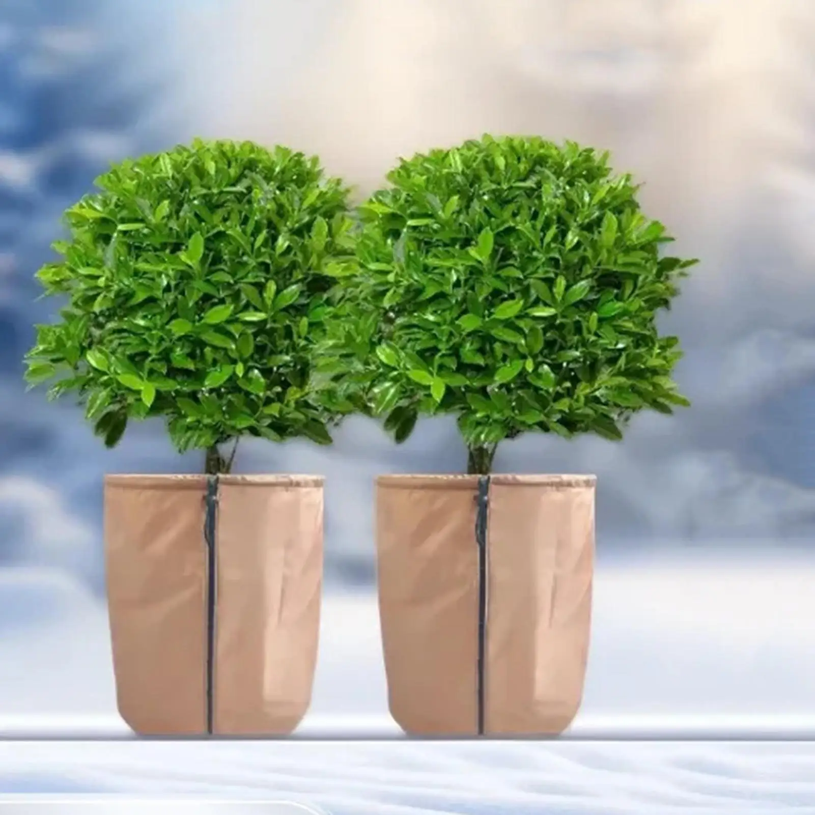 Чехлы для растений Защита от замерзания Чехлы для растений на зиму со шнурком и защитным оттенком на молнии для травы, овощей, лужайки 
Чехлы для растений Защита от замерзания Чехлы для растений на зиму со шнурком и защитным оттенком на молнии для травы, овощей, лужайки