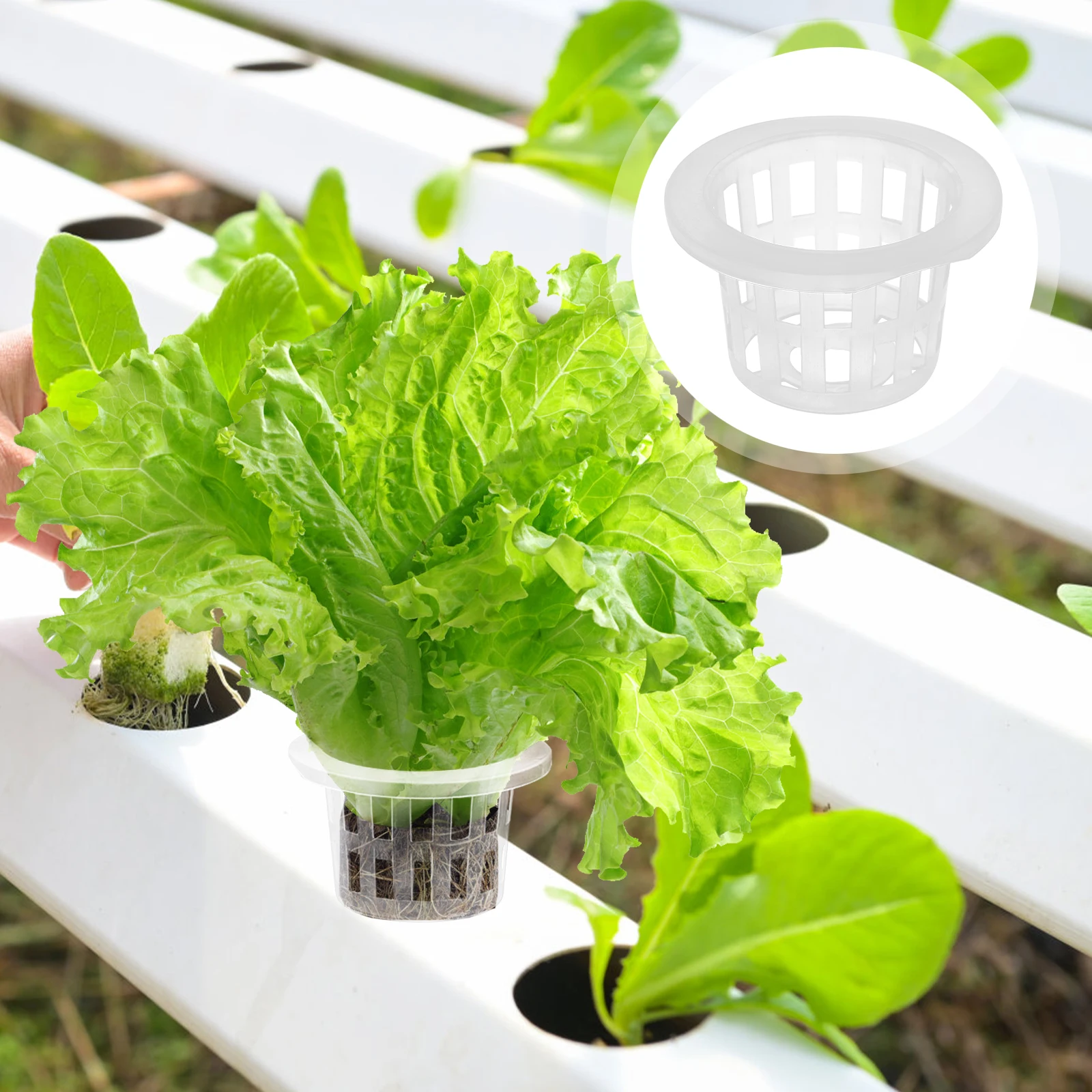 50 Pcs Hydroponic Planting Basket Cups Mesh Pots Hydroponics Net Garden Plants Network Plastic
50 Pcs Hydroponic Planting Basket Cups Mesh Pots Hydroponics Net Garden Plants Network Plastic