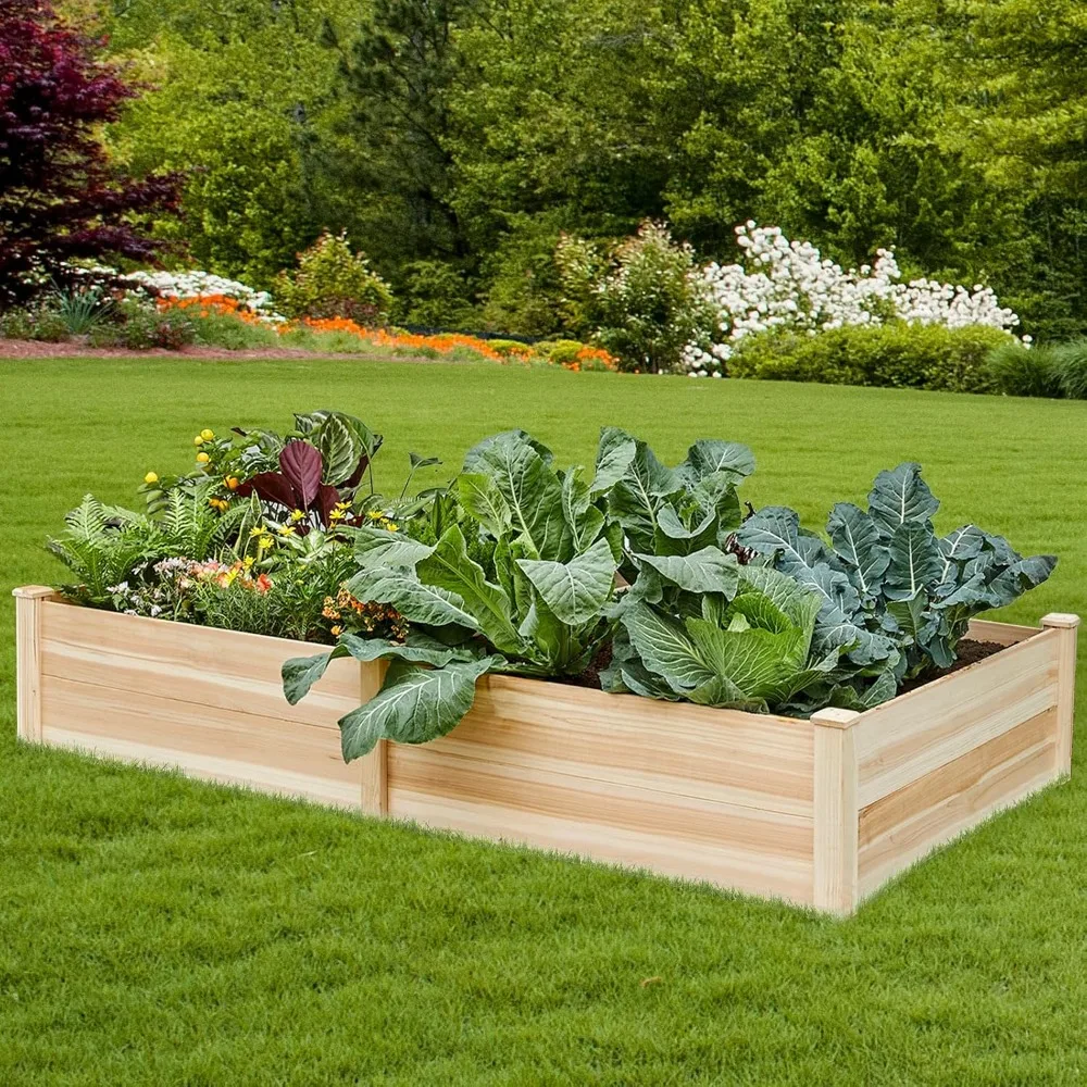 8x4 Ft Wood Raised Garden Bed, Durable 15 Inch Depth Planter Box for Vegetables, Herbs, and Flowers, Ideal for Outdoor Gardening
8x4 Ft Wood Raised Garden Bed, Durable 15 Inch Depth Planter Box for Vegetables, Herbs, and Flowers, Ideal for Outdoor Gardening