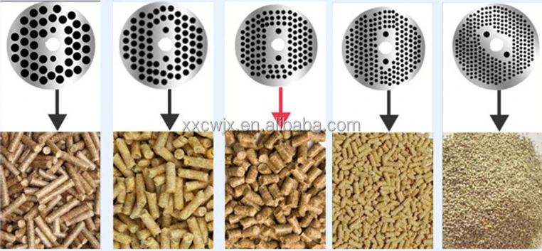 80-500Kg/H 2.5Mm 3Mm 4Mm 5Mm Farm Use Chicken Pig Goat Cattle Cat Animal Feed Pellet Mill Making Fish Feed Extruder Machine
80-500Kg/H 2.5Mm 3Mm 4Mm 5Mm Farm Use Chicken Pig Goat Cattle Cat Animal Feed Pellet Mill Making Fish Feed Extruder Machine