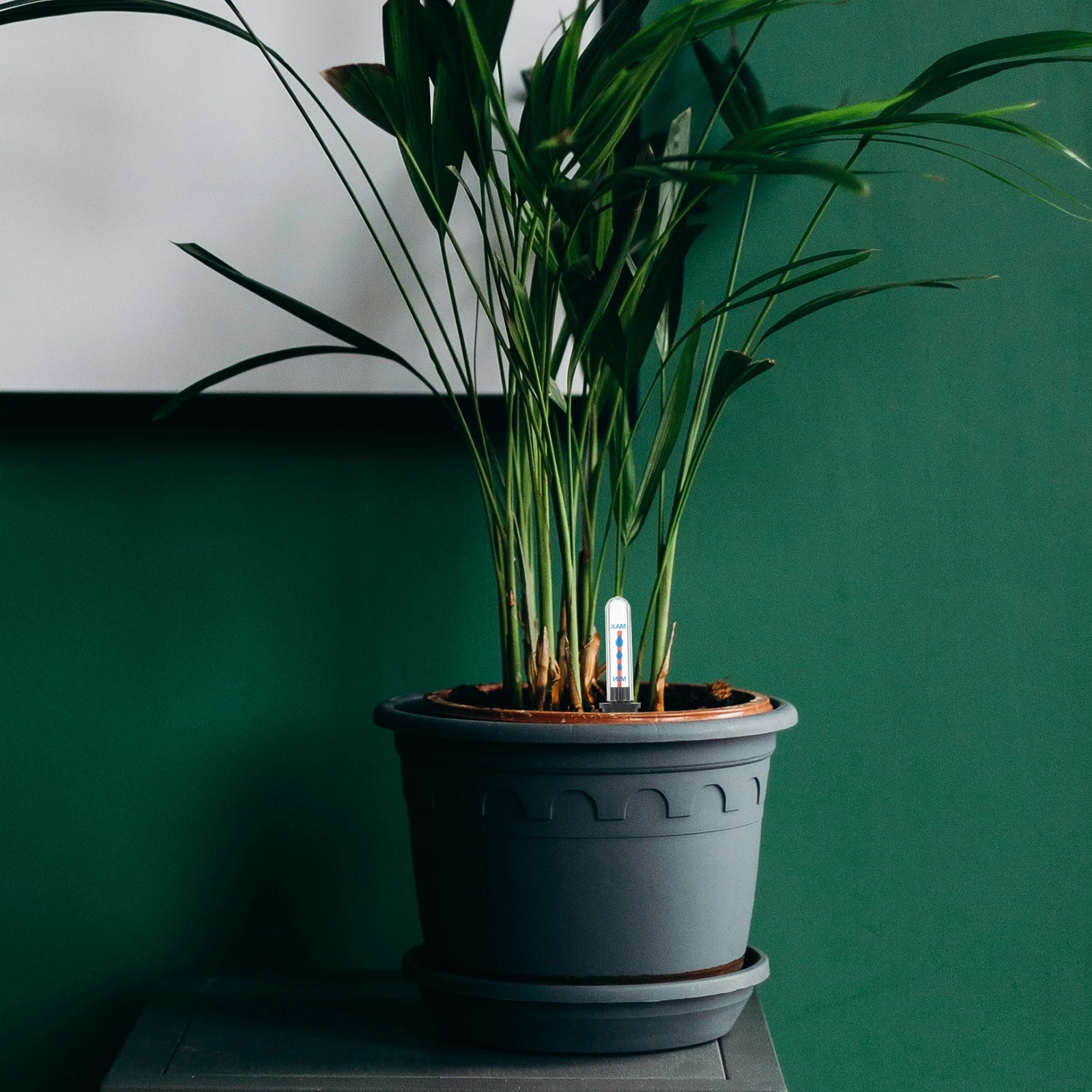 2Pcs Potted Plant Water Level Indicators Floating Buoy Flower Pot Water Shortage Reminder Moisture Meter Simple Use
2Pcs Potted Plant Water Level Indicators Floating Buoy Flower Pot Water Shortage Reminder Moisture Meter Simple Use