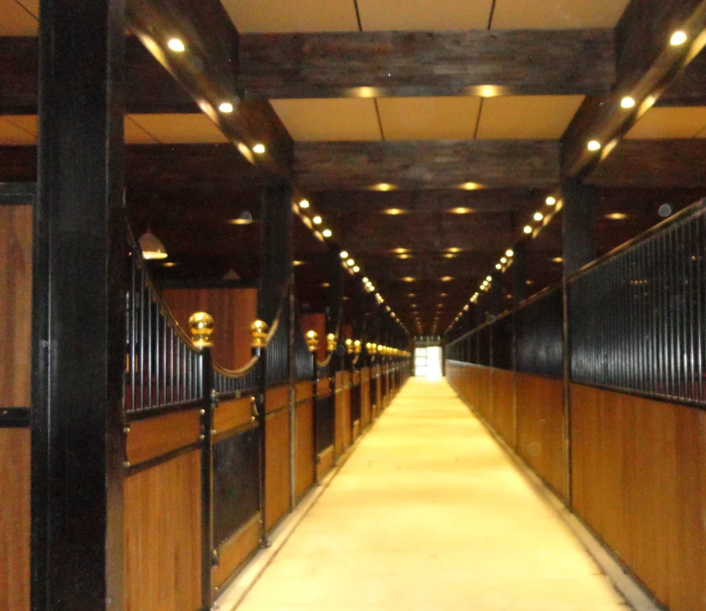 The Most Complete And Perfect System Of Horse Fencing Good Quality And Cheap Price Protebal Horse House
The Most Complete And Perfect System Of Horse Fencing Good Quality And Cheap Price Protebal Horse House