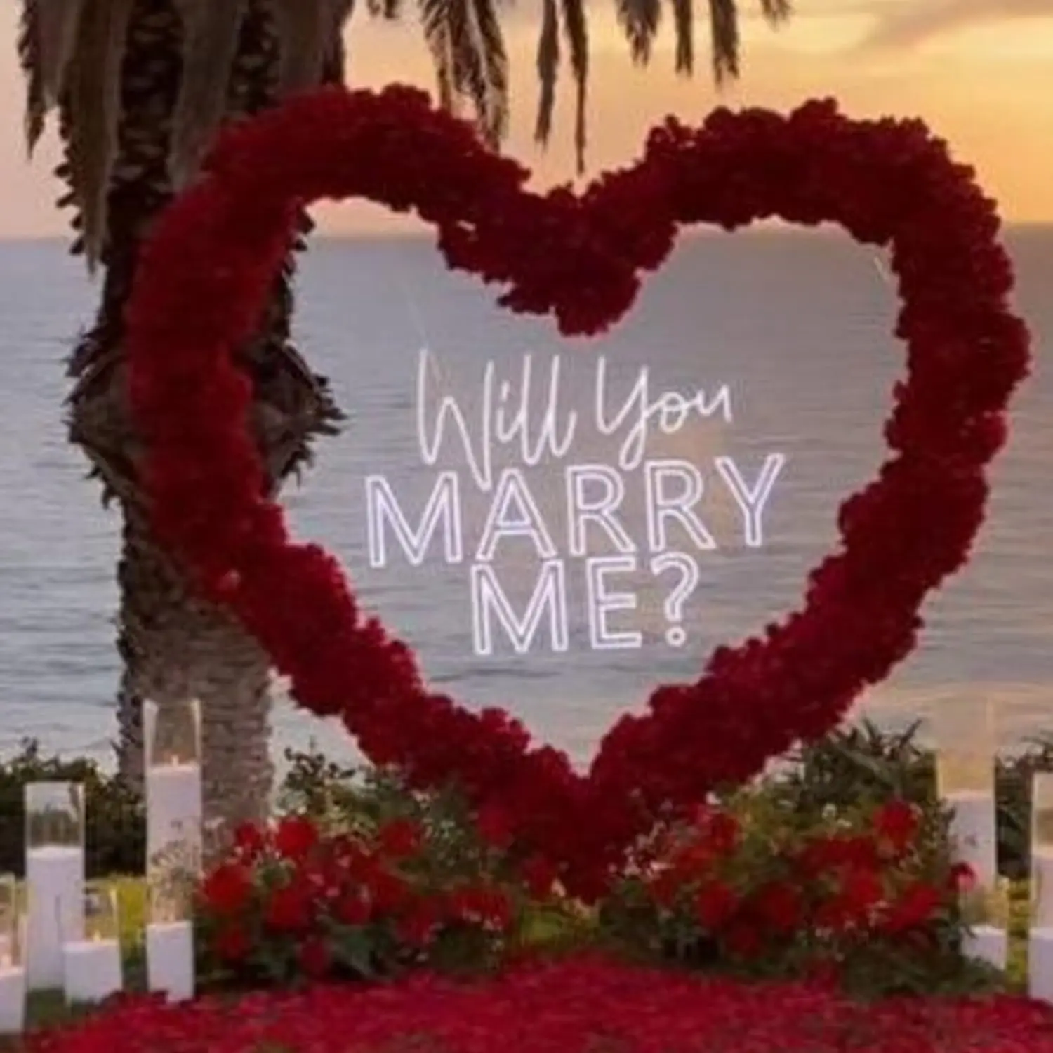 Will You Marry Me Neon Sign Custom Bedroom Bar Wedding Engagement Party Home Wall Decoration Personalized Gift For Her
Will You Marry Me Neon Sign Custom Bedroom Bar Wedding Engagement Party Home Wall Decoration Personalized Gift For Her