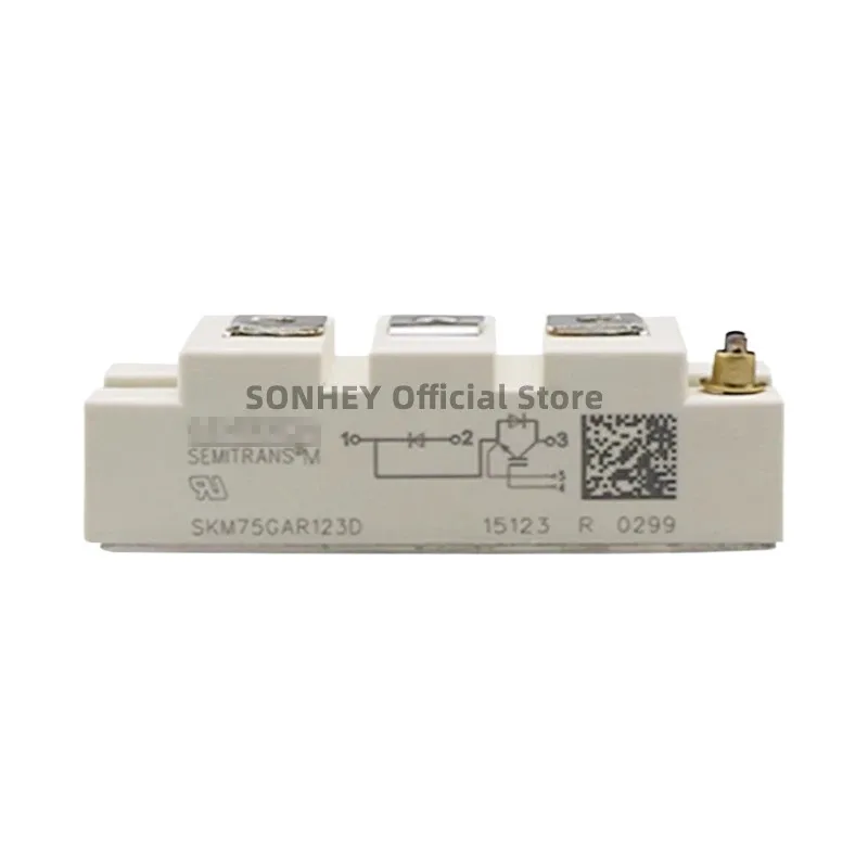 SKM195GAL063DN SKM195GAR063DN IGBT Module
SKM195GAL063DN SKM195GAR063DN IGBT Module