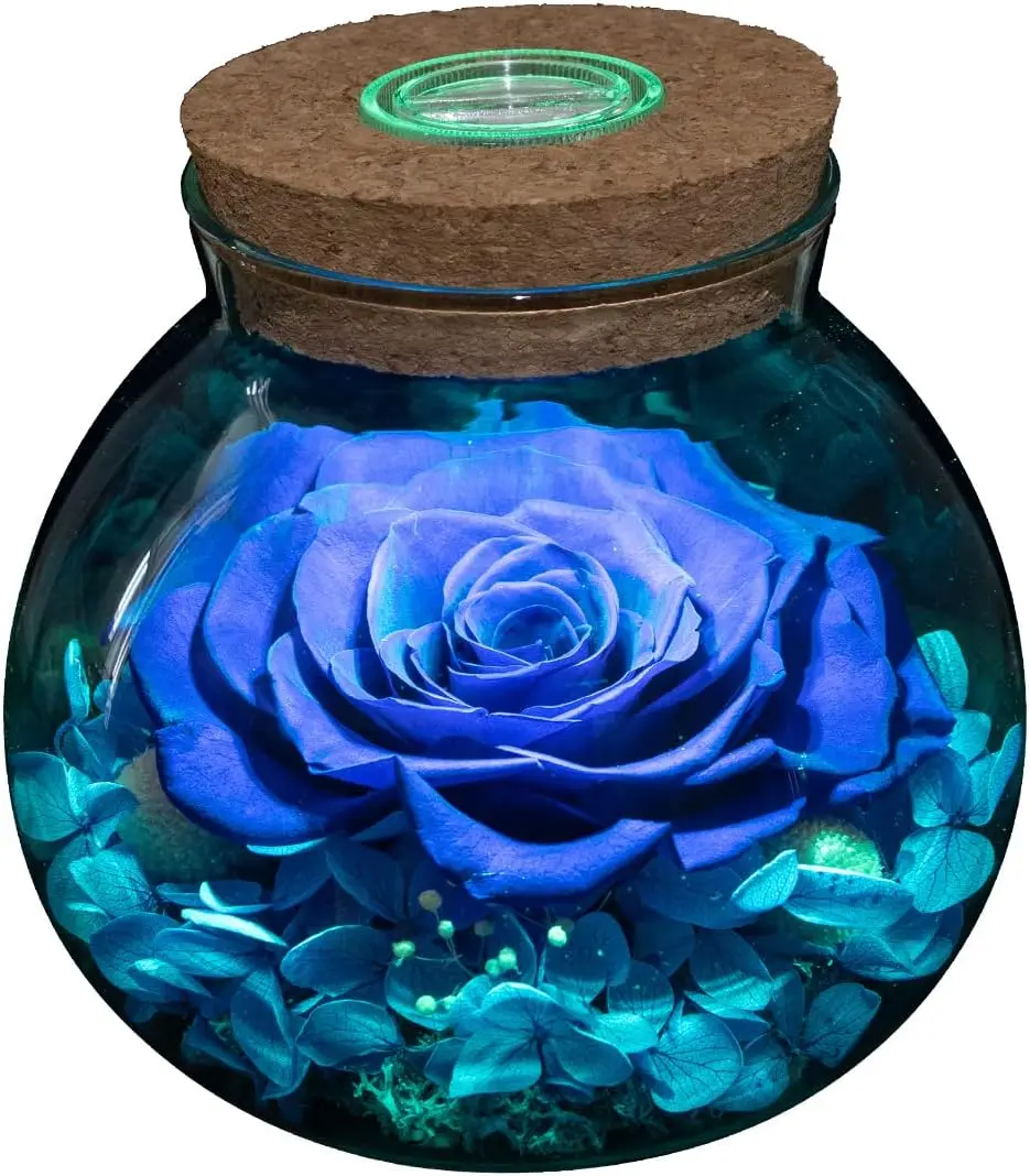 Preserved Real Roses with Colorful Mood Light Wishing Bottle, Eternal Rose,Never Withered Flowers, Table Decor,Christma
Preserved Real Roses with Colorful Mood Light Wishing Bottle, Eternal Rose,Never Withered Flowers, Table Decor,Christma