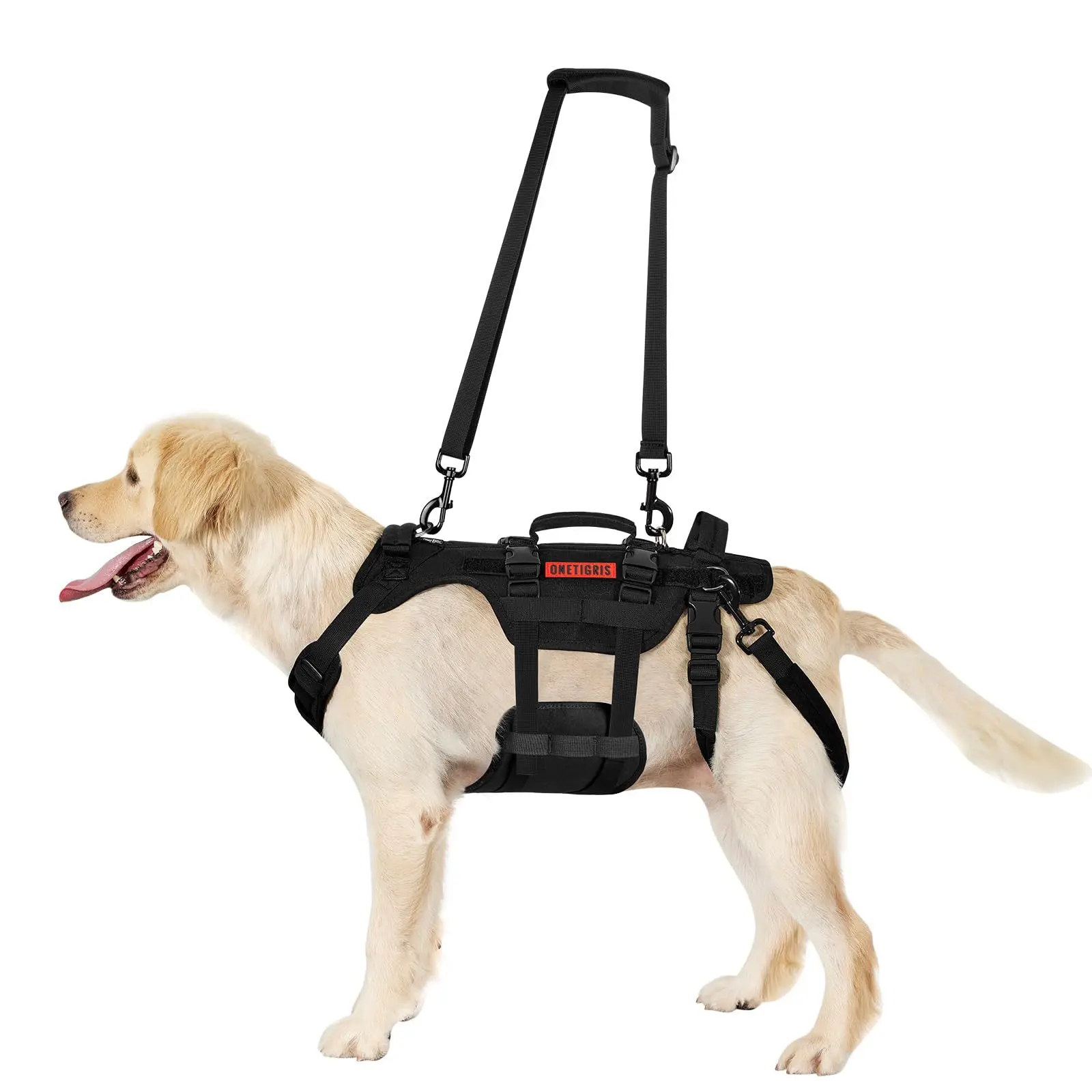 1PCS Outdoor Dog Vest Dogs Harness Tactical Train Coat Medium Large Dogs Vests Chest Strap Bungee Leash Lead Training Running
1PCS Outdoor Dog Vest Dogs Harness Tactical Train Coat Medium Large Dogs Vests Chest Strap Bungee Leash Lead Training Running