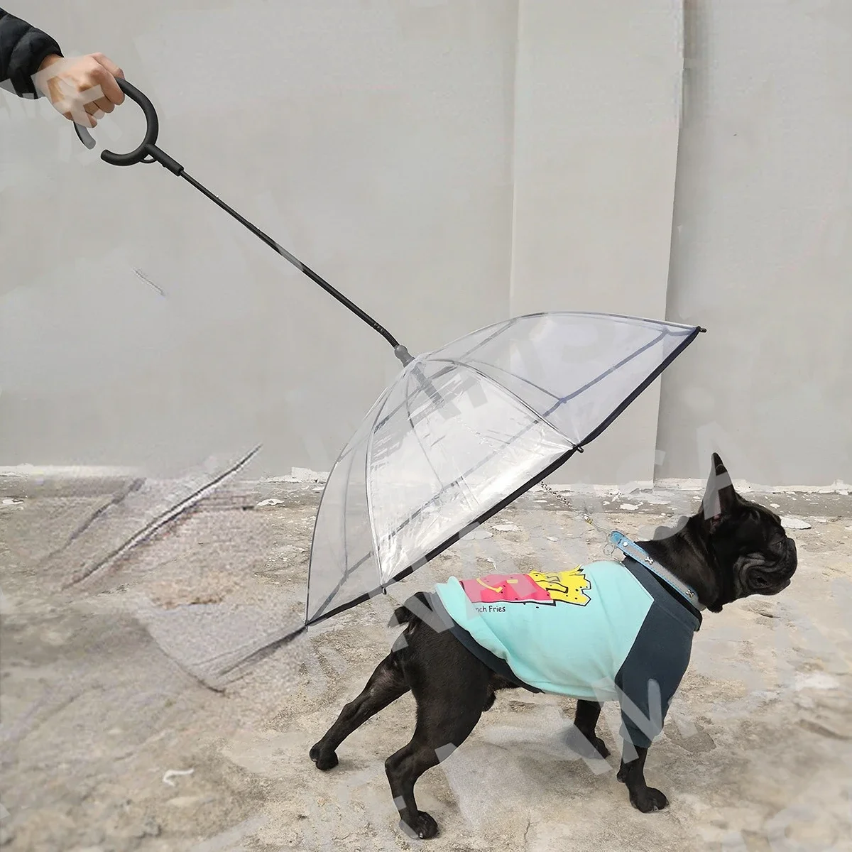 2025 New Pet Umbrella Leash Rainproof Snowproof Dog Umbrella Leash for Small Dogs Adjustable Doggy Umbrella Pet Products
2025 New Pet Umbrella Leash Rainproof Snowproof Dog Umbrella Leash for Small Dogs Adjustable Doggy Umbrella Pet Products