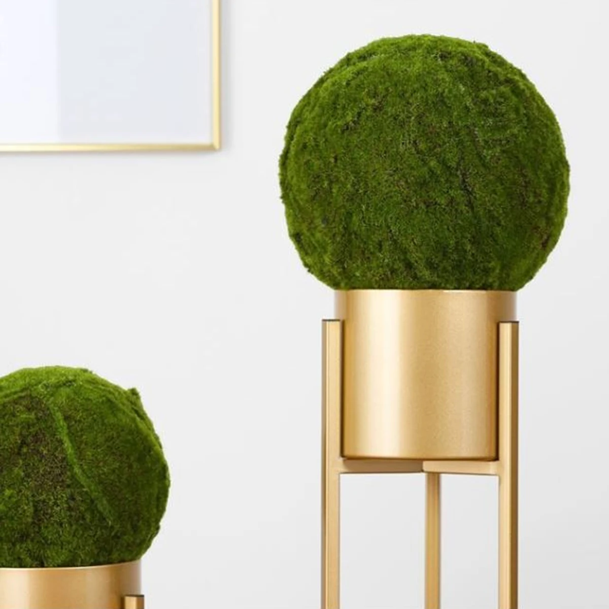 1pc Creative balls Decor Realistic Shape Eco Friendly Mini Gardening Props Home Wedding Showcase Adornment DIY for Patio
1pc Creative balls Decor Realistic Shape Eco Friendly Mini Gardening Props Home Wedding Showcase Adornment DIY for Patio