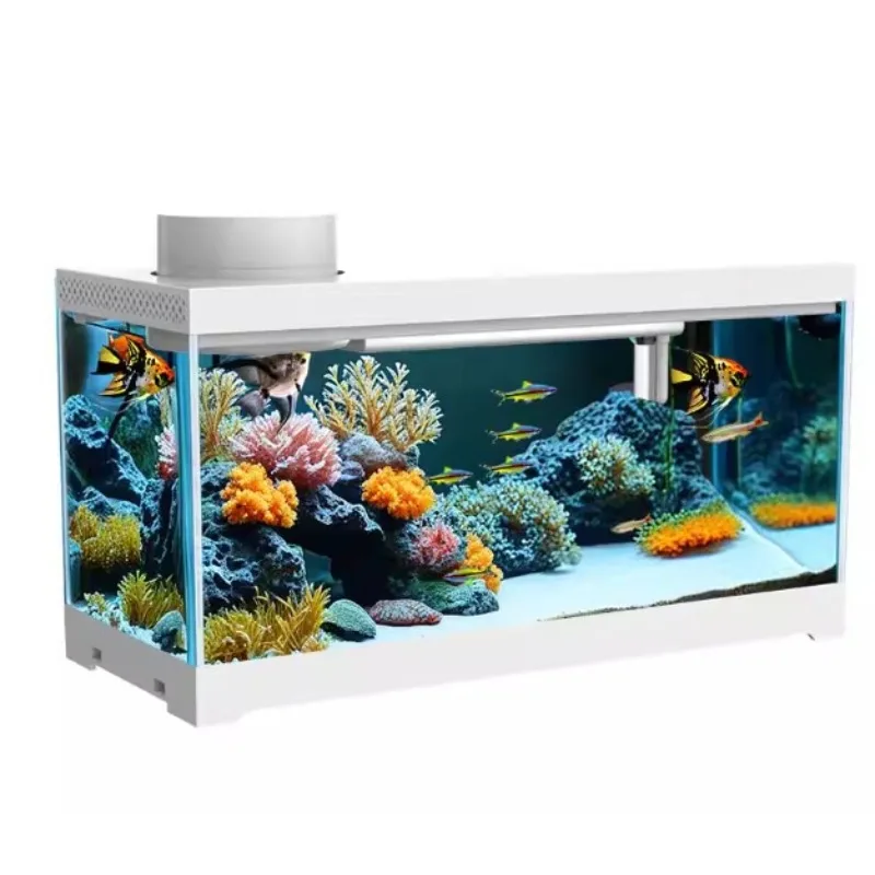 Intelligent small desktop fish tank mini office desk home filtration integrated machine ecological landscaping self-circulation
Intelligent small desktop fish tank mini office desk home filtration integrated machine ecological landscaping self-circulation