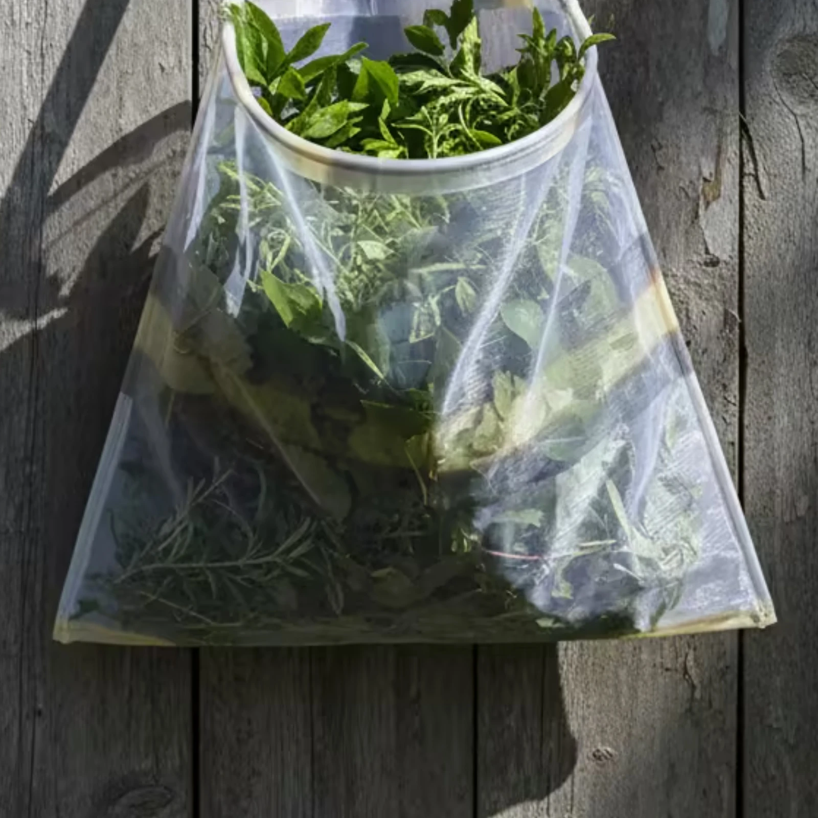 Waist Harvest Apron Translucent Waist Mounted Harvest Pouch Foliage Collecting Pouch Material Bound Outdoor Gear Adjustable Fit
Waist Harvest Apron Translucent Waist Mounted Harvest Pouch Foliage Collecting Pouch Material Bound Outdoor Gear Adjustable Fit