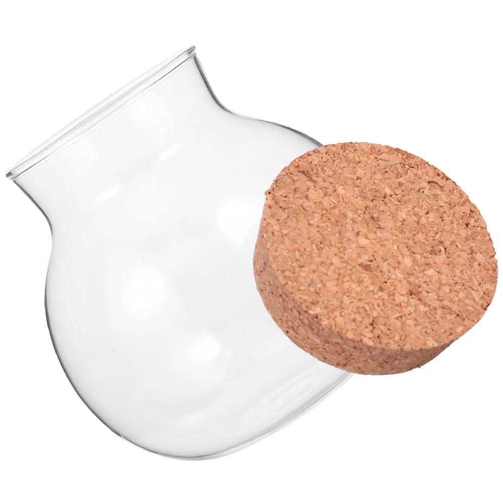 Glass Storage Tank Sealed Container Airtight Jar with Cork Lid Jars Lids Containers for Food
Glass Storage Tank Sealed Container Airtight Jar with Cork Lid Jars Lids Containers for Food