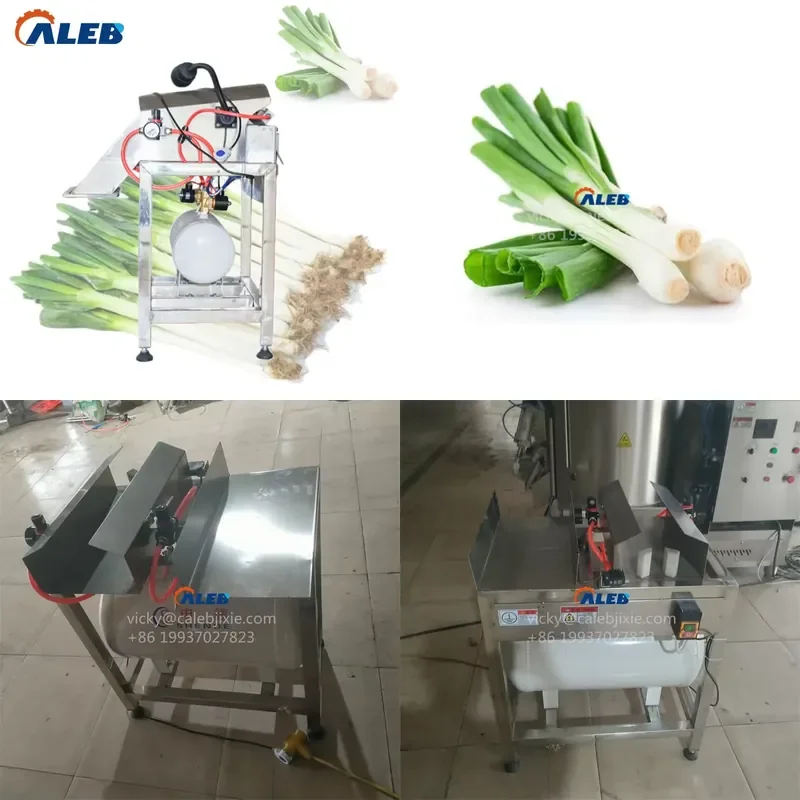SFW Certificate Celery Wet Peeling Machine Leek Root Trimmer for Frozen Vegetable Plant High Efficiency Automatic
SFW Certificate Celery Wet Peeling Machine Leek Root Trimmer for Frozen Vegetable Plant High Efficiency Automatic