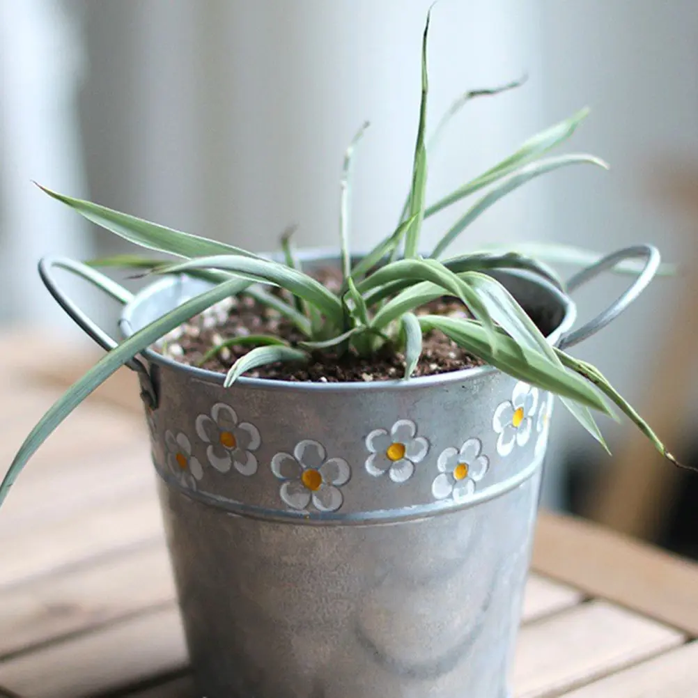 Retro Flower Bucket Vintage Tin Pot Metal Planter Cute Home Decor Small Daisy Print Garden Wedding Desk Storage
Retro Flower Bucket Vintage Tin Pot Metal Planter Cute Home Decor Small Daisy Print Garden Wedding Desk Storage