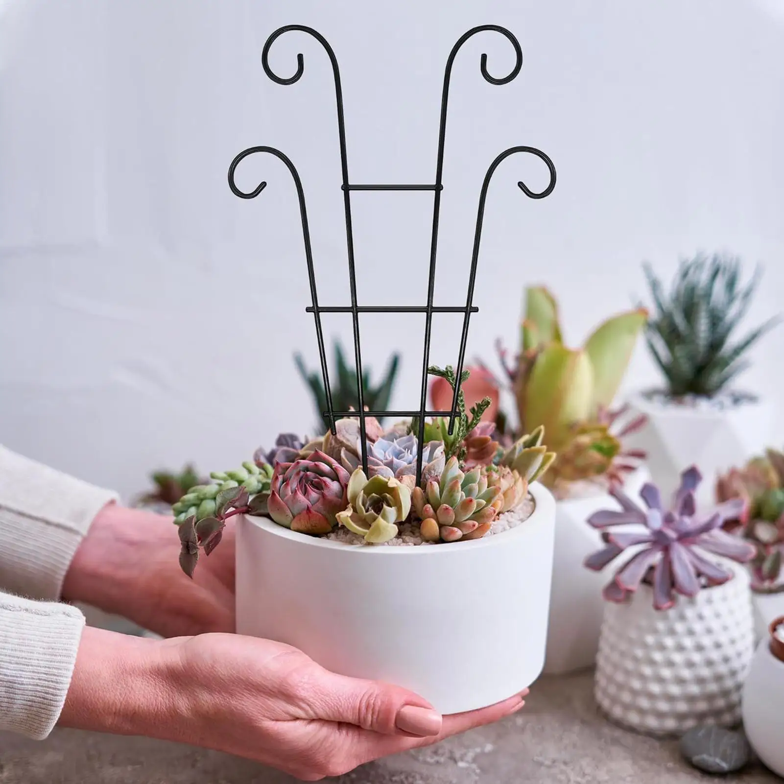 Trellis For Climbing Plants Indoor 4 Pieces Metal Plant Support Pillar 14 Inch Vine Support Stakes For Indoor Home Office
Trellis For Climbing Plants Indoor 4 Pieces Metal Plant Support Pillar 14 Inch Vine Support Stakes For Indoor Home Office