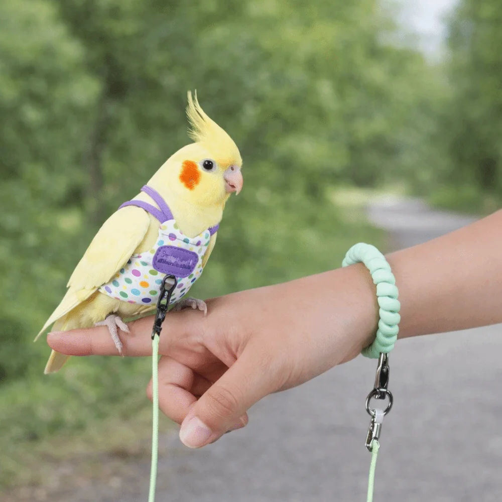 Escape Proof Parrot Flying Harness Polka Dot Print Breathable Bird Harness Leash Anti-Bite Flying Traction Straps
Escape Proof Parrot Flying Harness Polka Dot Print Breathable Bird Harness Leash Anti-Bite Flying Traction Straps