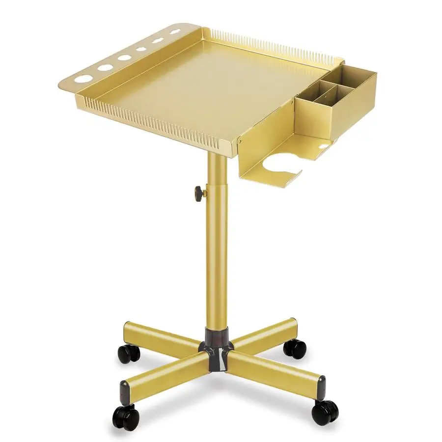 Salon Tray,Extension Hair Cart,Hairstylist Rolling Cart with Storage Platform and Hair Separator Stand,Gold
Salon Tray,Extension Hair Cart,Hairstylist Rolling Cart with Storage Platform and Hair Separator Stand,Gold