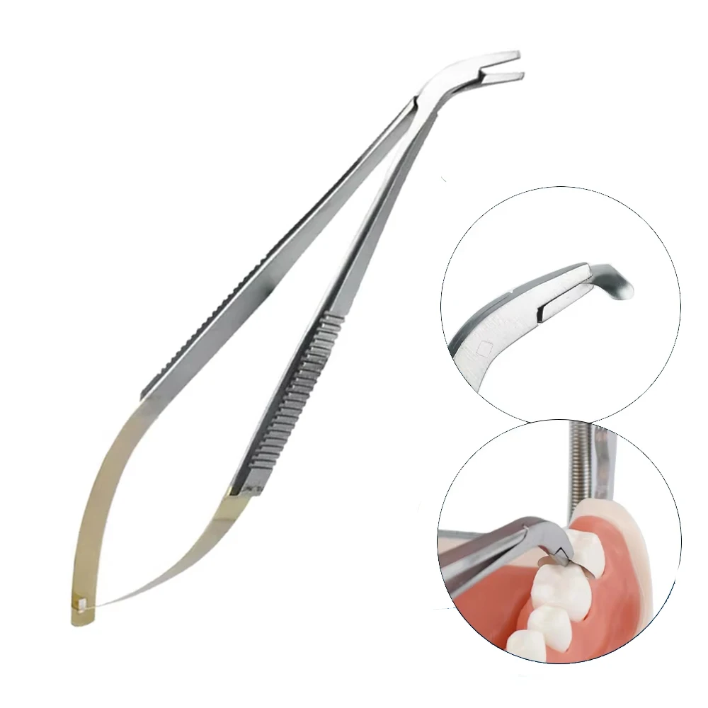 Dental Matrix Holder Clamp Stainless Steel for Molar Teeth Restoration Easy to Use Matrices Placement Dental Tool
Dental Matrix Holder Clamp Stainless Steel for Molar Teeth Restoration Easy to Use Matrices Placement Dental Tool