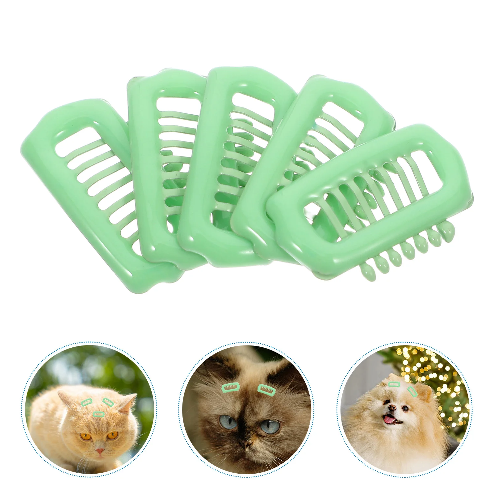 5pcs Dog Accessories Pet Hair Clips for Grooming Small Dogs Cats Stylish ABS Elegant Fashion Versatile Dog Supplies
5pcs Dog Accessories Pet Hair Clips for Grooming Small Dogs Cats Stylish ABS Elegant Fashion Versatile Dog Supplies