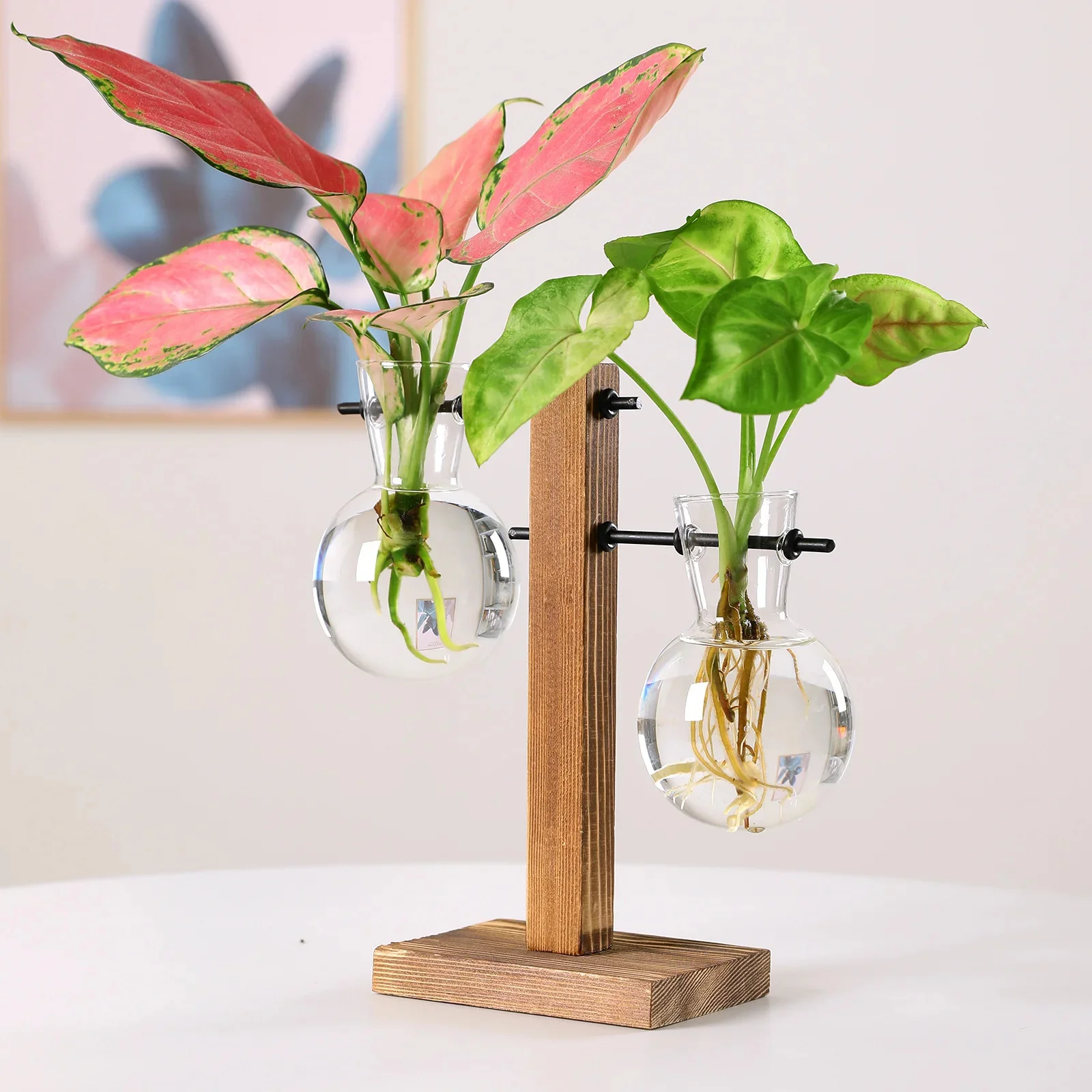 Creative Wooden Frame Hydroponic Plant Container Glass Bulb Vase Home Tabletop Decor Vases Beaker Glass Planter Bonsai
Creative Wooden Frame Hydroponic Plant Container Glass Bulb Vase Home Tabletop Decor Vases Beaker Glass Planter Bonsai