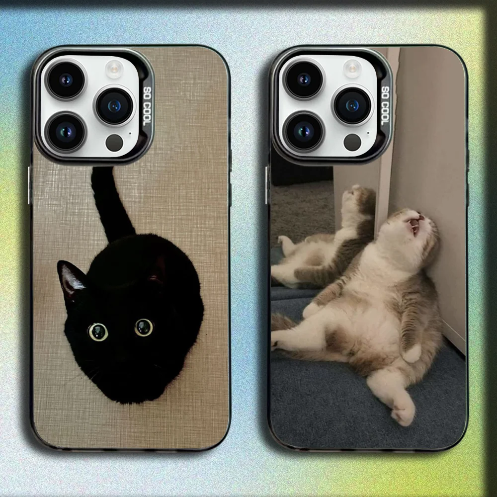 Cute Funny Cat Memes Phone Case For iPhone 16,15,14,13,12,11,Mini,Pro,SE,MAX Gray Matte Silicone Black Cover
Cute Funny Cat Memes Phone Case For iPhone 16,15,14,13,12,11,Mini,Pro,SE,MAX Gray Matte Silicone Black Cover