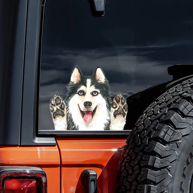 10258# Cute Husky Dog Car Sticker Waterproof Vinyl Decal Auto Accessories Decor Pegatinas Para Coche
10258# Cute Husky Dog Car Sticker Waterproof Vinyl Decal Auto Accessories Decor Pegatinas Para Coche