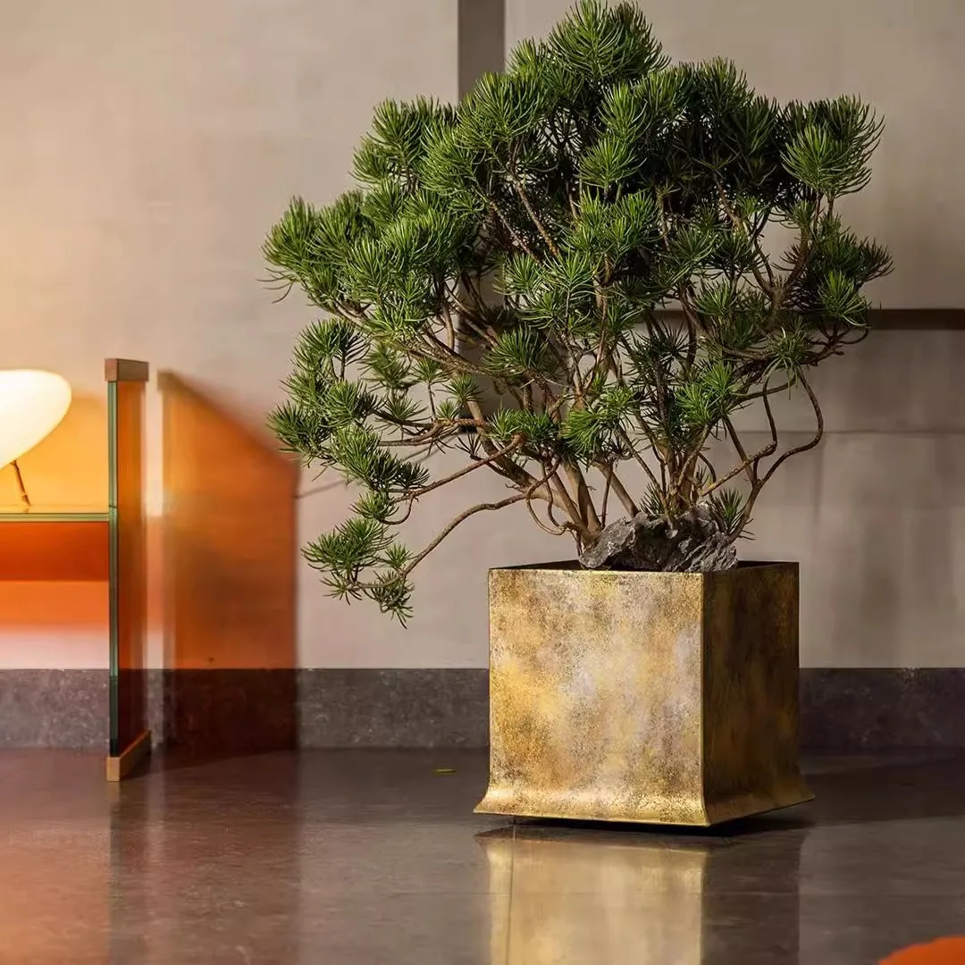 Floor-to-ceiling large flower pot large diameter turtle bamboo flower pot high-end living room
Floor-to-ceiling large flower pot large diameter turtle bamboo flower pot high-end living room