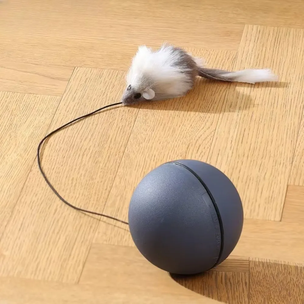 ABS Automatic Electric Cat Toy Simulated Tail Flashing Light Automatic Rolling Ball Toy Multifunctional with Mouse Cat Ball Toys
ABS Automatic Electric Cat Toy Simulated Tail Flashing Light Automatic Rolling Ball Toy Multifunctional with Mouse Cat Ball Toys
