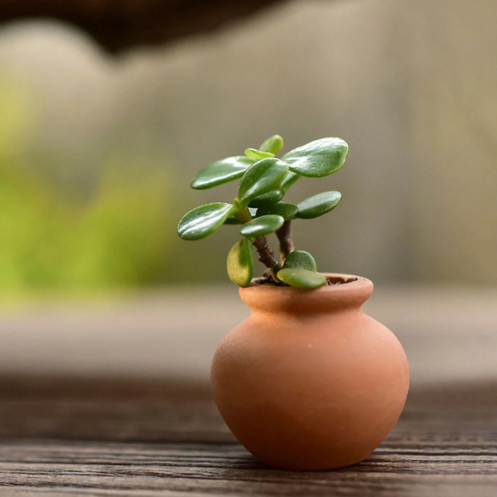 6 Pcs Succulent Flower Pot Clay Containers Compact Flowerpots Tiny Terracotta Artificial Small Mini Thumb Saucer
6 Pcs Succulent Flower Pot Clay Containers Compact Flowerpots Tiny Terracotta Artificial Small Mini Thumb Saucer