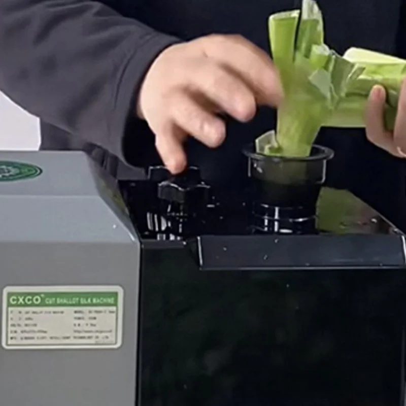 Electric Food Vegetable Shredder Processors Cabbage Pepper Celery Green Onion Shred Machine
Electric Food Vegetable Shredder Processors Cabbage Pepper Celery Green Onion Shred Machine