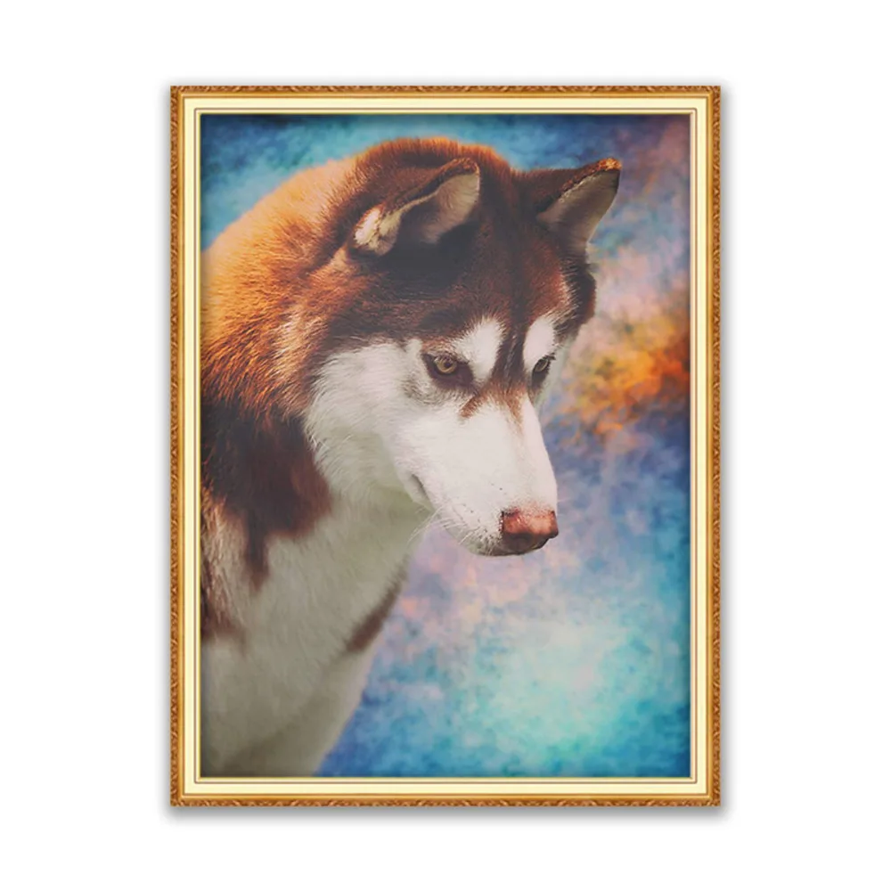 Animal Dog Husky DIY Cross Stitch Embroidery 11CT Kits Craft Needlework Set Printed Canvas Cotton Thread Home Decoration Sell
Animal Dog Husky DIY Cross Stitch Embroidery 11CT Kits Craft Needlework Set Printed Canvas Cotton Thread Home Decoration Sell