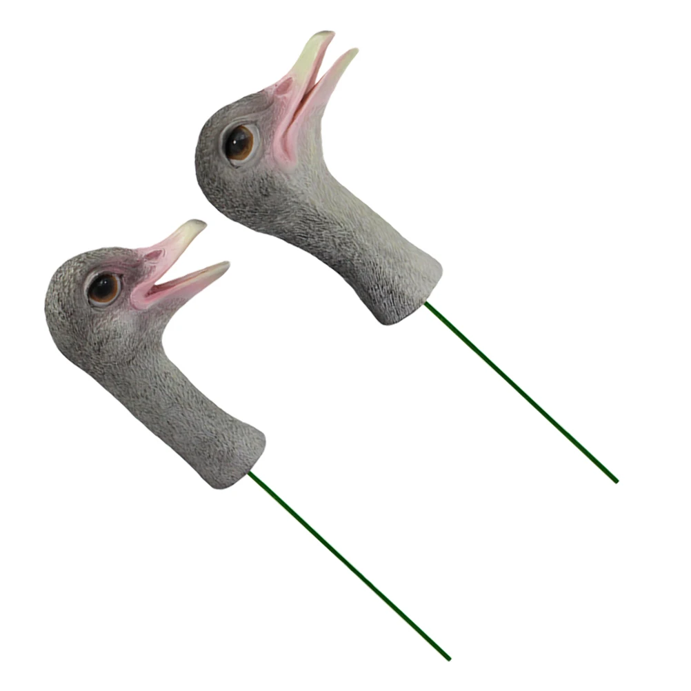 2pcs Ostrich Head Statue Props Resin Ornament Sculpture Crafts Decoration Realistic Design Sturdy Durable Fine 
2pcs Ostrich Head Statue Props Resin Ornament Sculpture Crafts Decoration Realistic Design Sturdy Durable Fine