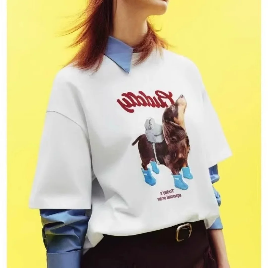 Rain boots dachshund loose round neck printed T-shirt loose casual inner cool and quick-drying couple tops sports T-shirt
Rain boots dachshund loose round neck printed T-shirt loose casual inner cool and quick-drying couple tops sports T-shirt