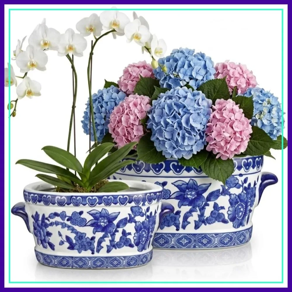 Blue and White Ceramic Planter Pot – Vintage Oval Cachepot for Indoor Plants, Flowers & Succulents – Glazed Chinese Porcelain Style – 7.4" or 10.6"
Blue and White Ceramic Planter Pot – Vintage Oval Cachepot for Indoor Plants, Flowers & Succulents – Glazed Chinese Porcelain Style – 7.4" or 10.6"