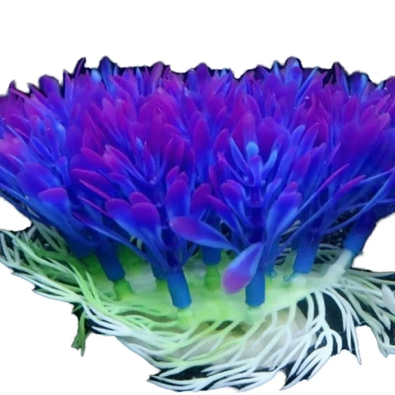 10pcs Aquarium Landscaping Decoration Accessories Simulated Aquatic Plants Fish Tank Plant Set Small Grass Cluster Purple Eco-fr
10pcs Aquarium Landscaping Decoration Accessories Simulated Aquatic Plants Fish Tank Plant Set Small Grass Cluster Purple Eco-fr