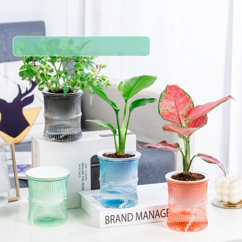 Practical Useful High Quality Lazy Hydroponic Flower Pot Automatic Water-Absorbing Flowerpot Double Layer Plastic Self Watering
Practical Useful High Quality Lazy Hydroponic Flower Pot Automatic Water-Absorbing Flowerpot Double Layer Plastic Self Watering