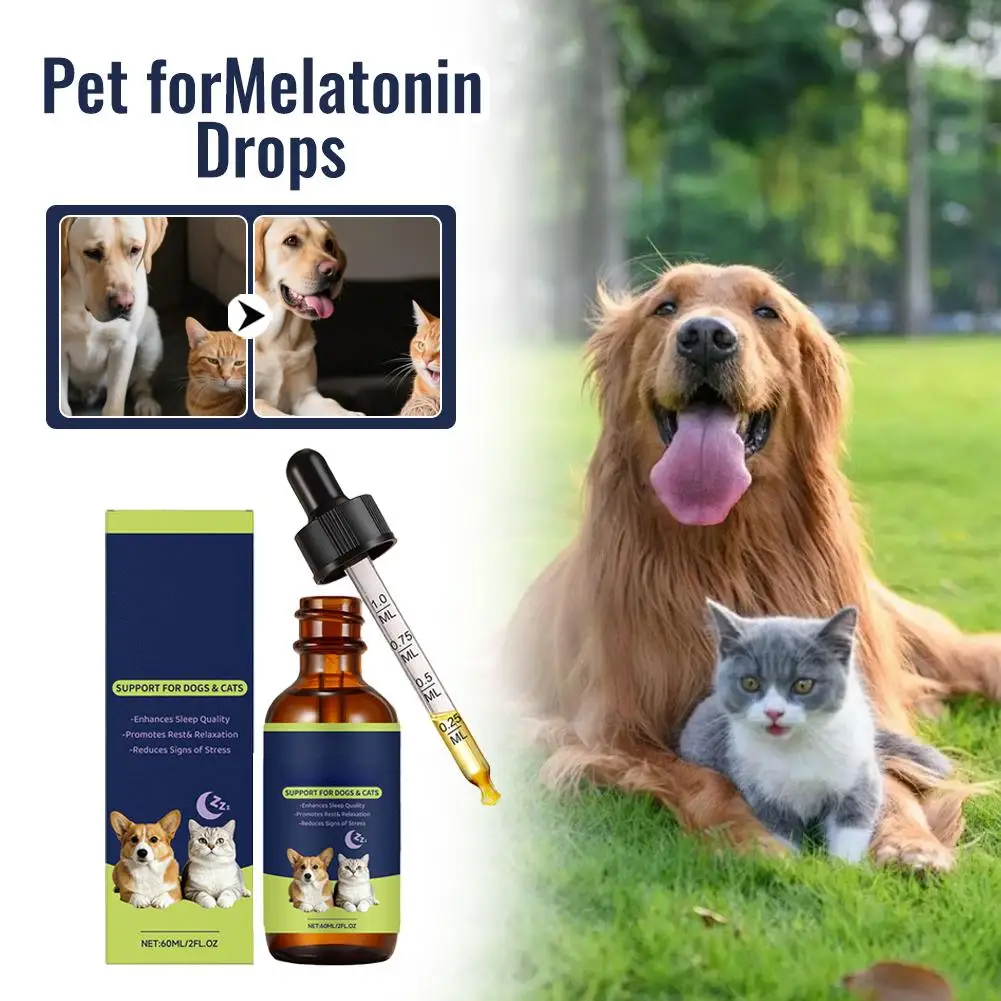 Pet Cat And Dog Melatonin Drops Improve Sleep And Reduce Stress
Pet Cat And Dog Melatonin Drops Improve Sleep And Reduce Stress