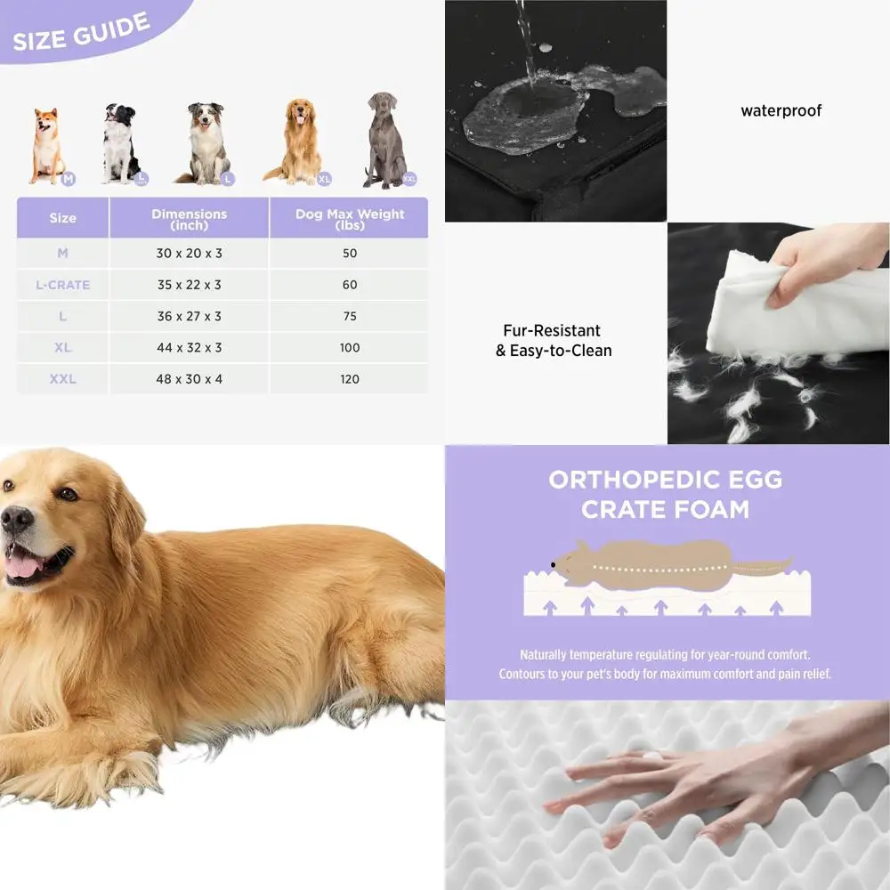 Ортопедический ящик для яиц из пеноматериала для собак — водонепроницаемый и съемный чехол, 44x32, XL, черный
Ортопедический ящик для яиц из пеноматериала для собак — водонепроницаемый и съемный чехол, 44x32, XL, черный