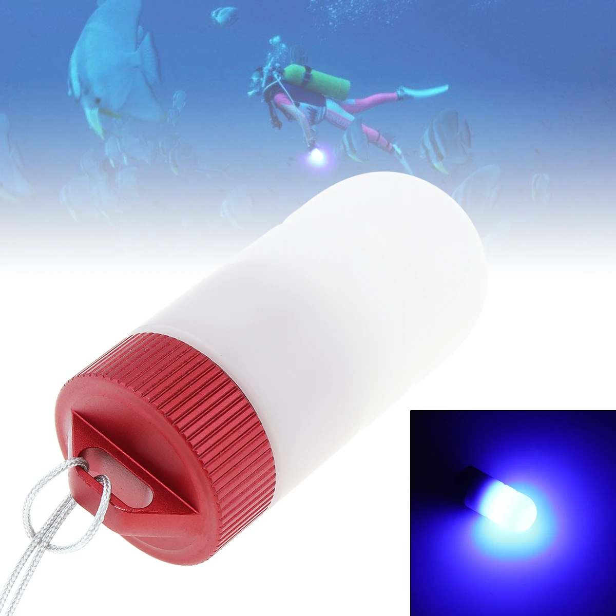 Mini Underwater Safety Signal Light Scuba Night Dive LED Light with Battery 200h Duration for 200m Underwater Diving
Mini Underwater Safety Signal Light Scuba Night Dive LED Light with Battery 200h Duration for 200m Underwater Diving