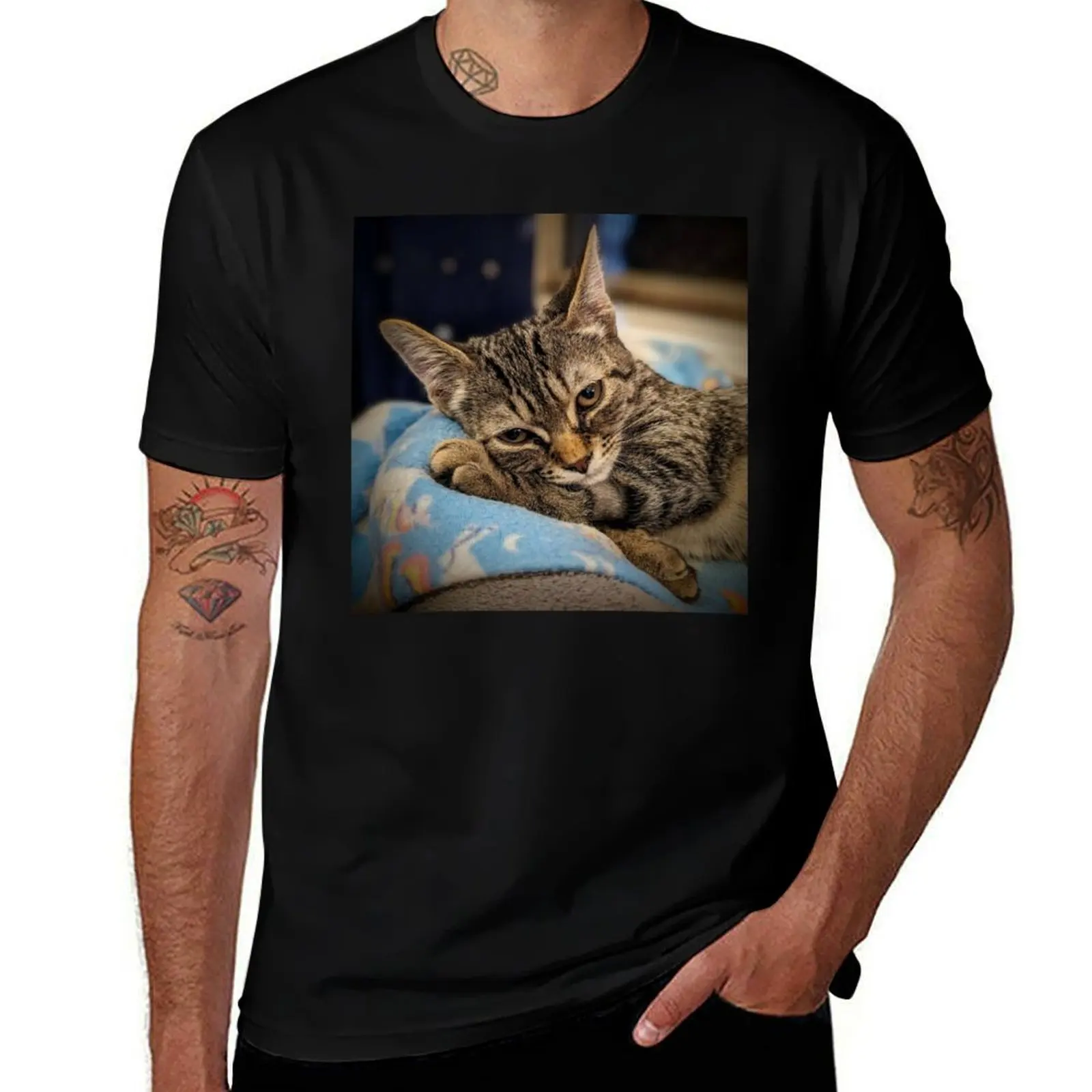 Pillow Paw Pause – Cozy Tabby Photography by J Packer Samms T-Shirt boys whites vintage summer tops t shirt men 100℅ cotton
Pillow Paw Pause – Cozy Tabby Photography by J Packer Samms T-Shirt boys whites vintage summer tops t shirt men 100℅ cotton