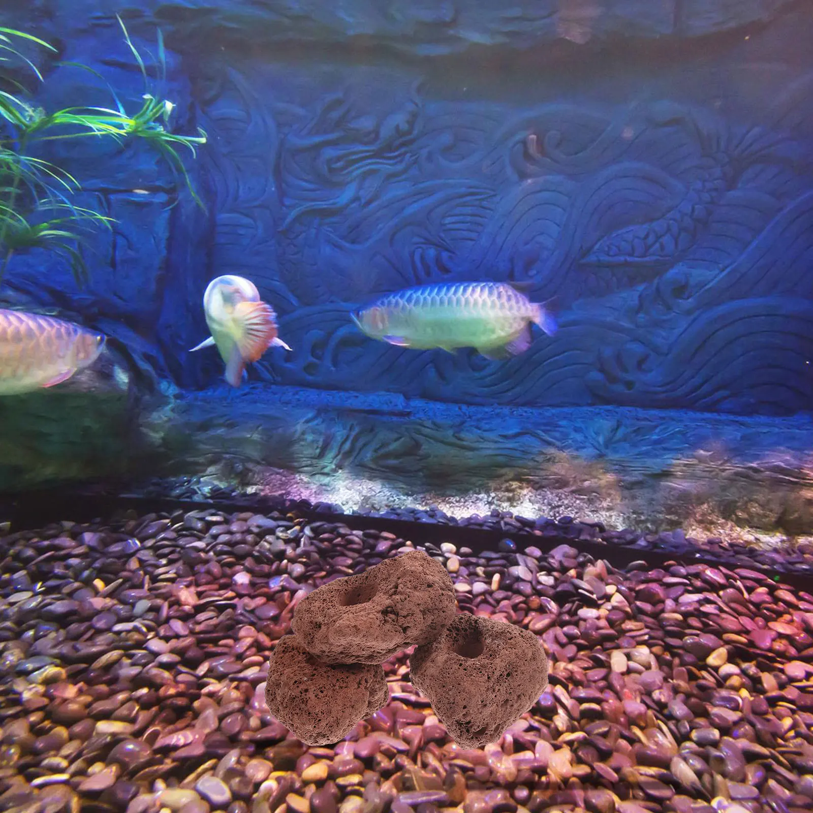 3 Pcs Volcanic Rock Planting Ring Fish Tank Volcano Ornament Decoration Aquarium Plants Fixed Decorations Ceramic Rings
3 Pcs Volcanic Rock Planting Ring Fish Tank Volcano Ornament Decoration Aquarium Plants Fixed Decorations Ceramic Rings