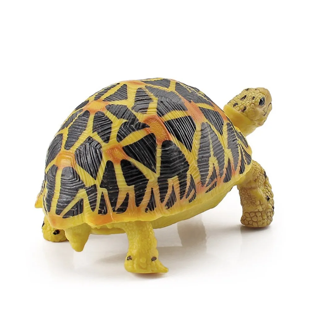 Leatherback Tortoise Turtle Action Figures Realistic Hand Painted Sea Turtle Model PVC Material Simulation
Leatherback Tortoise Turtle Action Figures Realistic Hand Painted Sea Turtle Model PVC Material Simulation