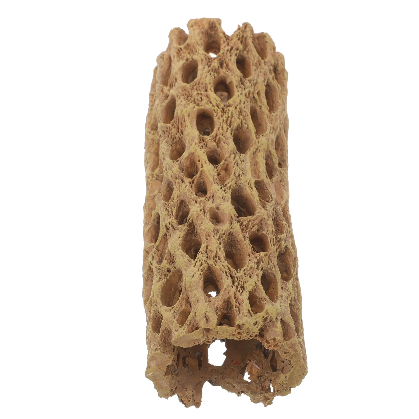 Shrimp House Ornaments Aquarium Hideout for Fish and Shelter Multifunction Caves Hides Accessories Resin Used
Shrimp House Ornaments Aquarium Hideout for Fish and Shelter Multifunction Caves Hides Accessories Resin Used