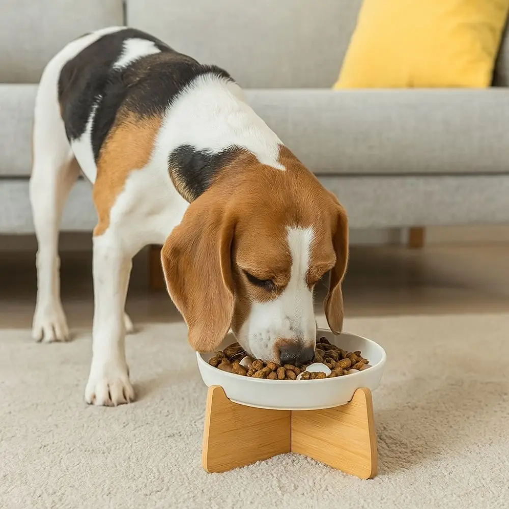 Wood Stand Raised Cat Bowl Anti-choking Neck Protection Slow Feeder Bowl Ergonomic Ceramic Cat Feeding Bowl Pet Feeding
Wood Stand Raised Cat Bowl Anti-choking Neck Protection Slow Feeder Bowl Ergonomic Ceramic Cat Feeding Bowl Pet Feeding