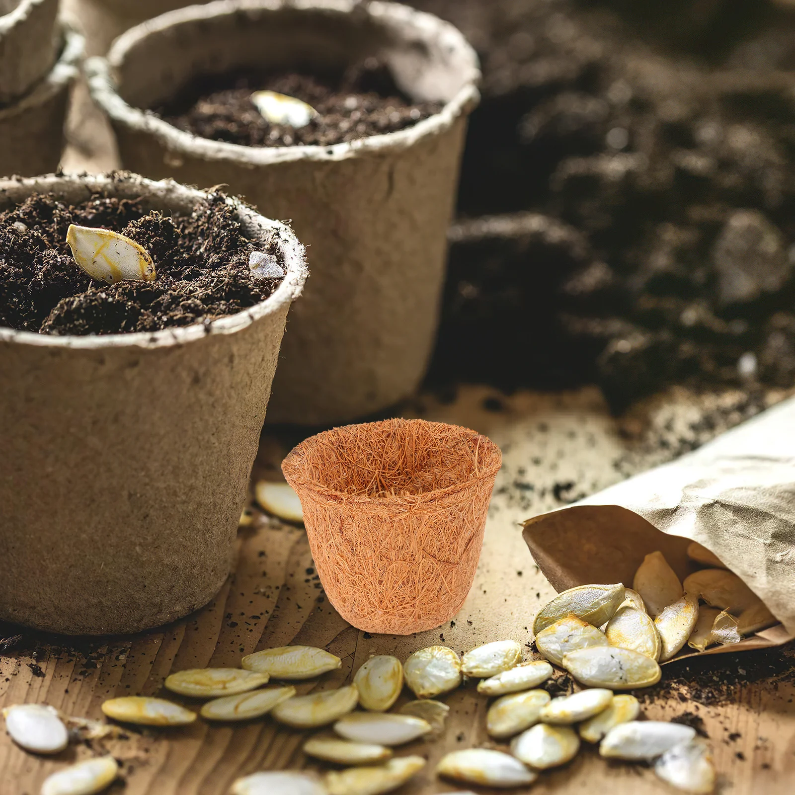 12 Pcs Coconut Fiber Flower Pot Natural Coir Liner Breathable Planter Lightweight Plant Container for
12 Pcs Coconut Fiber Flower Pot Natural Coir Liner Breathable Planter Lightweight Plant Container for