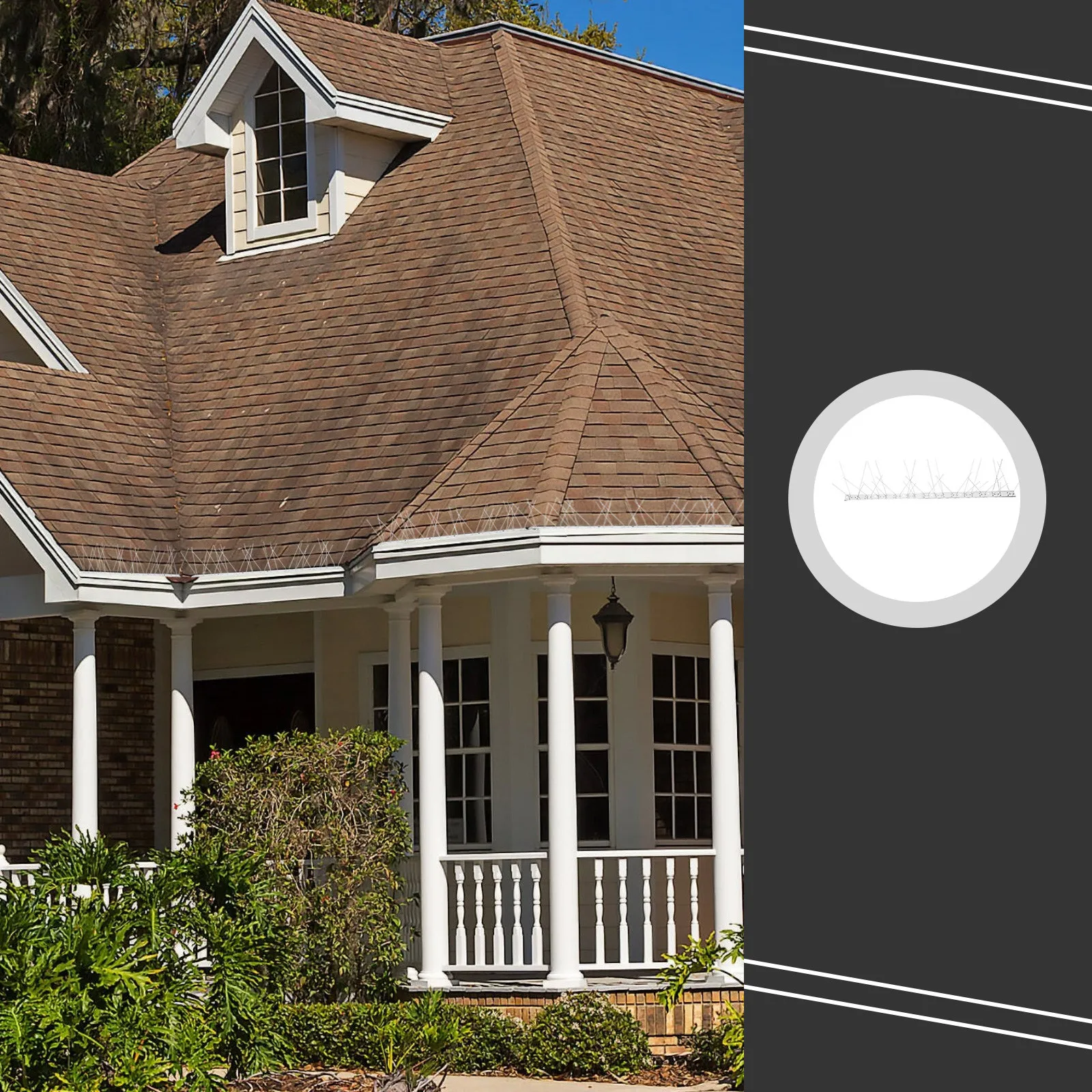 1Pcs Stainless Steel Bird Spike Anti Corrosion Weatherproof Deter Pigeons Seagulls Crows Sparrows Swallows Bats Fence Roof
1Pcs Stainless Steel Bird Spike Anti Corrosion Weatherproof Deter Pigeons Seagulls Crows Sparrows Swallows Bats Fence Roof