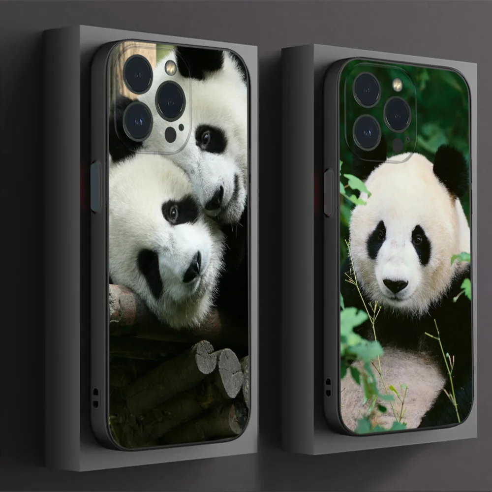 Cute Animal Panda Phone Case For IPhone16 15 14 13 12 Mini 11 Pro XS Max X XR SE5 6 7 8 Plus Soft Silicone Cover
Cute Animal Panda Phone Case For IPhone16 15 14 13 12 Mini 11 Pro XS Max X XR SE5 6 7 8 Plus Soft Silicone Cover