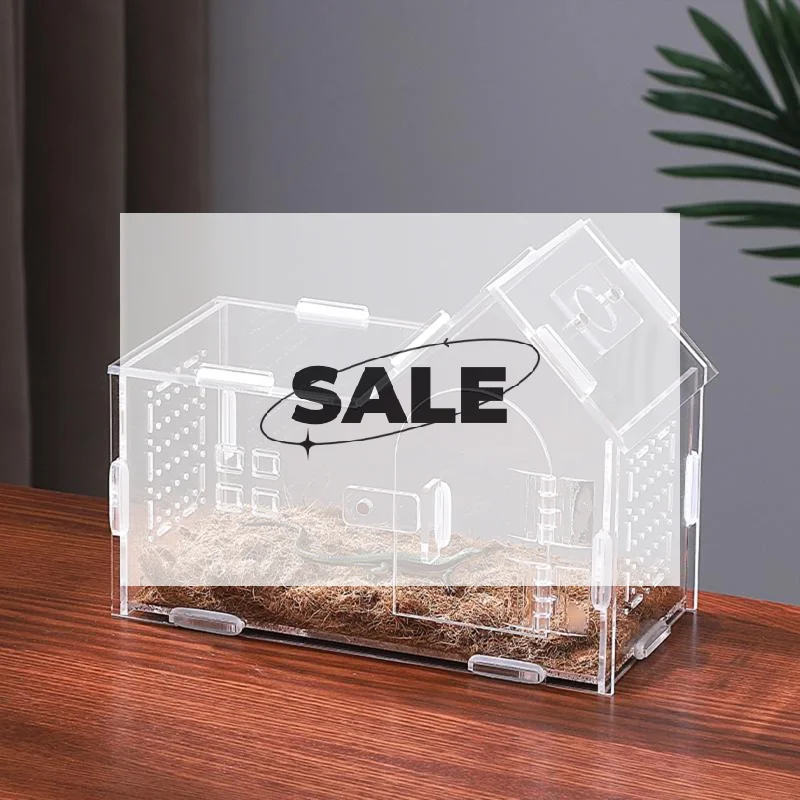 Коробка для кормления рептилий с крышками, клетка для среды обитания животных, мини-контейнер для разведения домашних животных для геккона, черепахи, тарантулы, товары для домашних животных
Коробка для кормления рептилий с крышками, клетка для среды обитания животных, мини-контейнер для разведения домашних животных для геккона, черепахи, тарантулы, товары для домашних животных