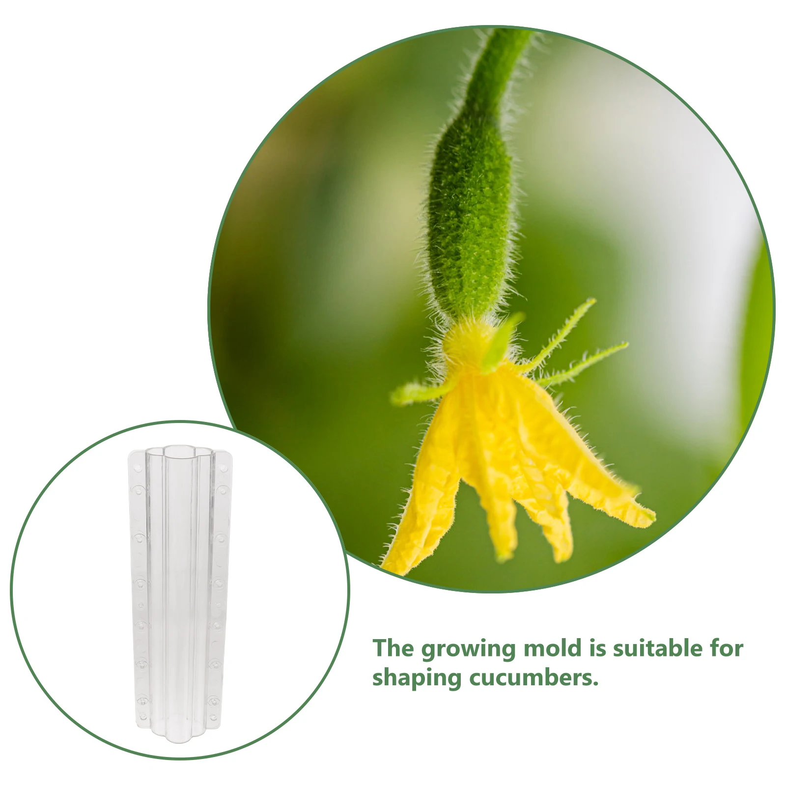 2pcs Cucumber Growing Molds Clear Vegetable Shaping Kit For Gardening Fruit Growth Accessories Square Mold For Ginseng Gourd
2pcs Cucumber Growing Molds Clear Vegetable Shaping Kit For Gardening Fruit Growth Accessories Square Mold For Ginseng Gourd