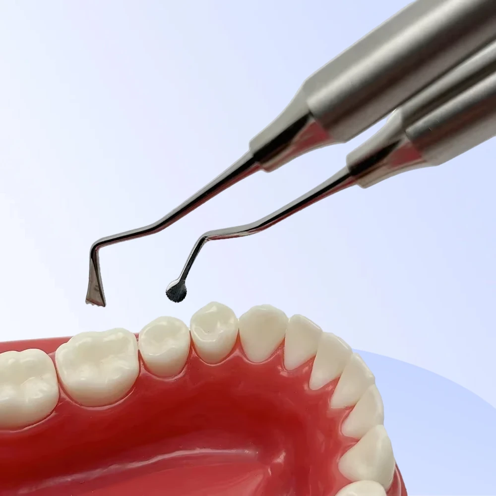 Dental Gingival Retraction Cord Tool Dentist Atraumatic Cord Splitter Tool Double Head Dentist Oral Tools
Dental Gingival Retraction Cord Tool Dentist Atraumatic Cord Splitter Tool Double Head Dentist Oral Tools