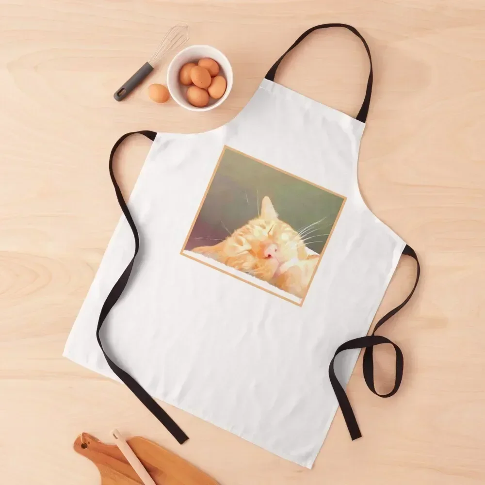 Animal shelter benefit-all profit donated. Rescue cat love benefit art. Apron Women Kitchen'S For Woman Bib For Kitchen Apron
Animal shelter benefit-all profit donated. Rescue cat love benefit art. Apron Women Kitchen'S For Woman Bib For Kitchen Apron